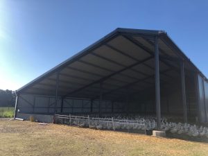 hangar agricole stabulation