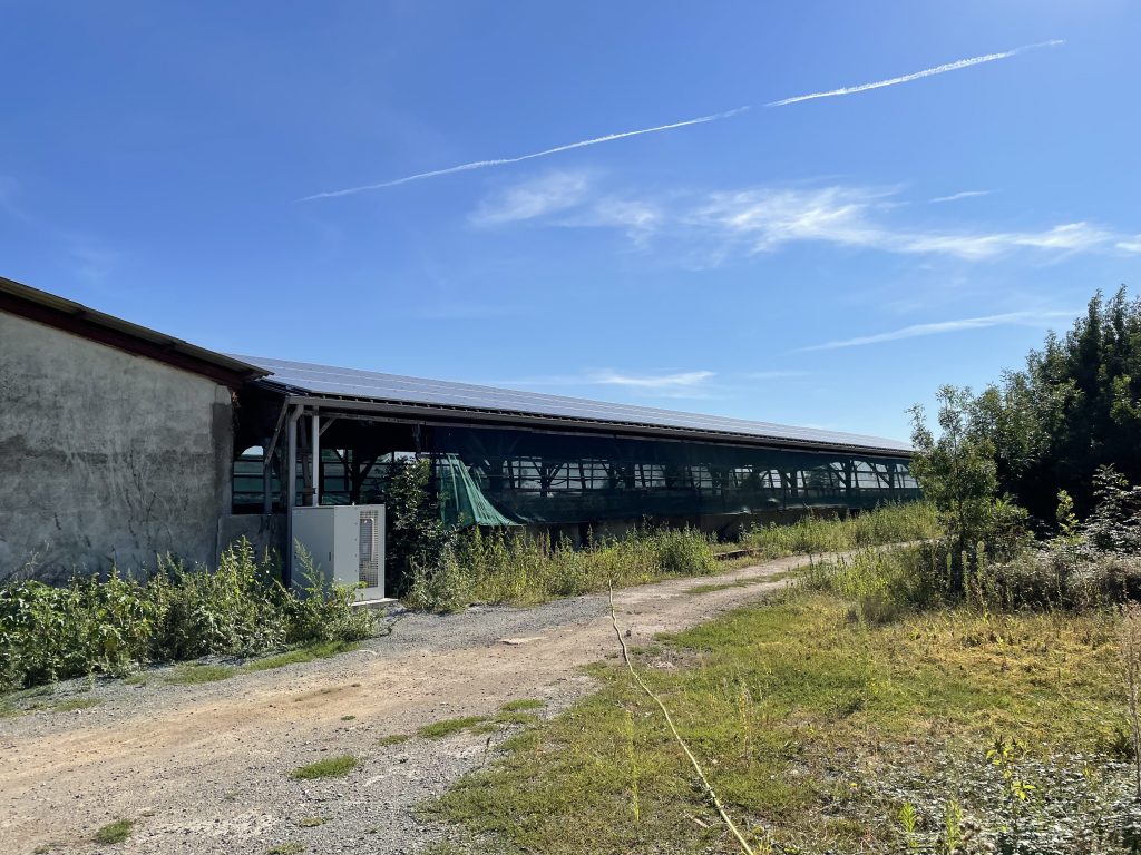 hangar agricole vu de biais
