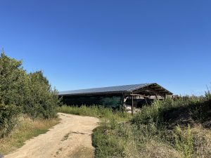rénovation de toiture vue d'ensemble