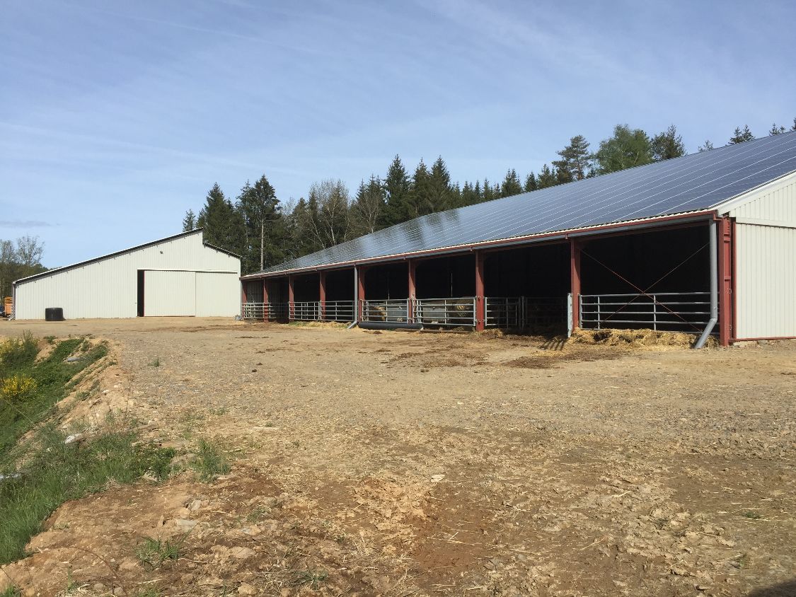 hangar stabulation
