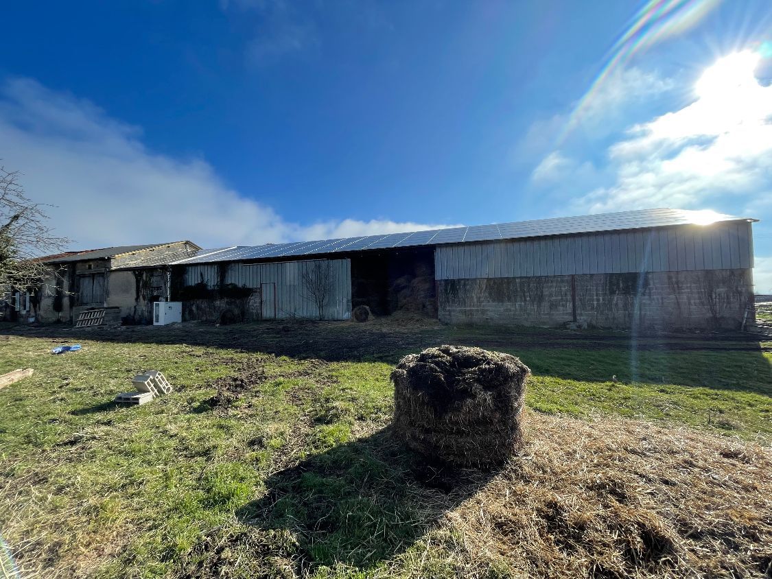 rénovation de la toiture d'un hangar agricole