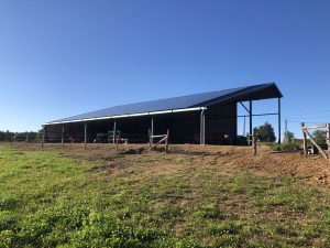 hangar agricole avec centrale solaire en toiture