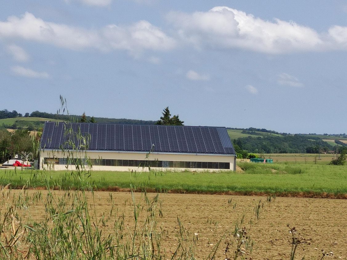 hangar agricole vu de dos