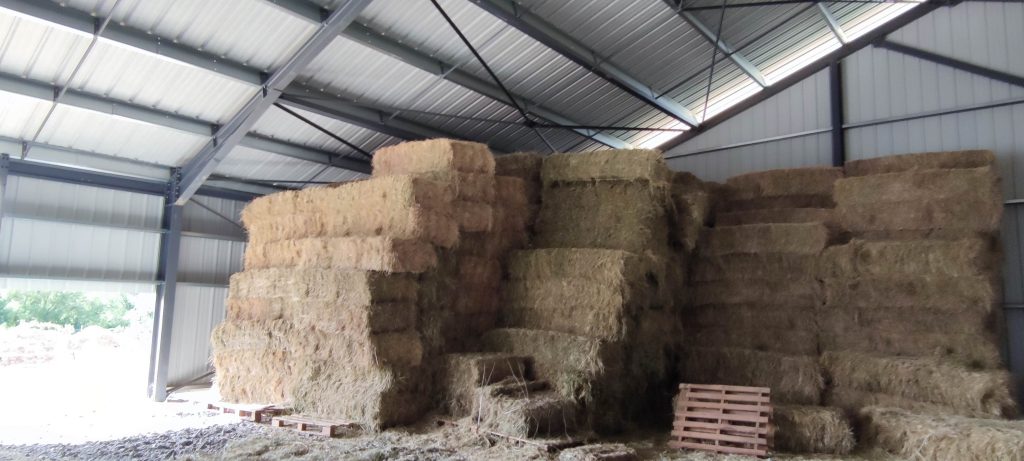hangar agricole de stockage vu de l'intérieur