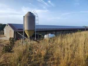 hangar agricole vu de trois quarts avec panneaux solaires en toiture