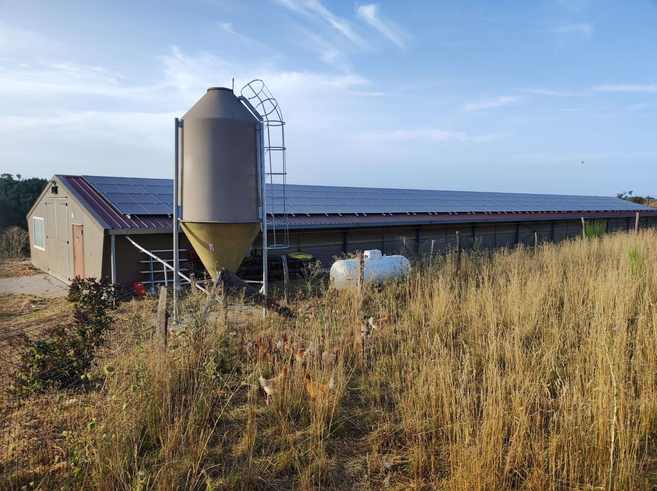 hangar agricole vu de trois quarts avec panneaux solaires en toiture
