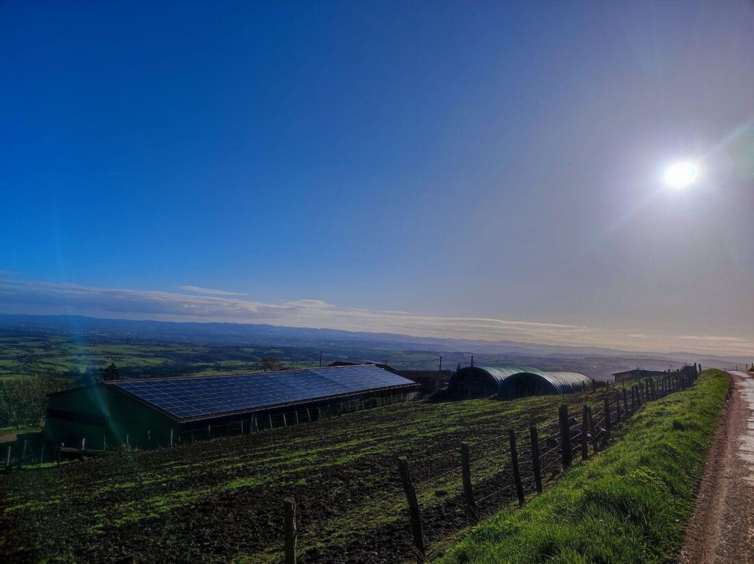 toiture avec panneaux solaires sur bâtiment agricole