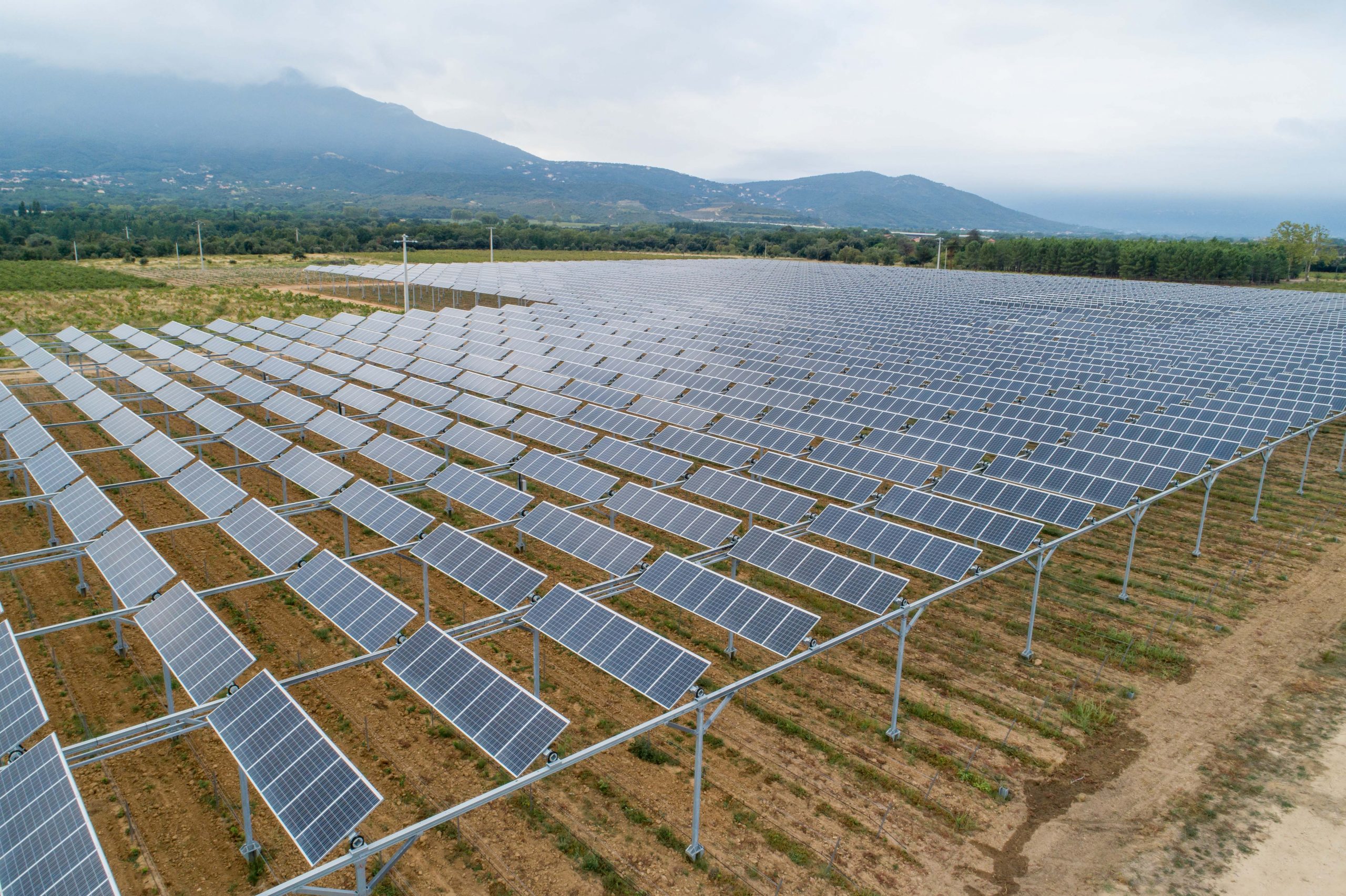 exemple de centrale agrivoltaïque